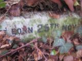 image of grave number 366113